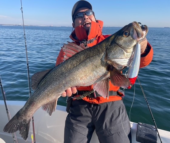 東京湾ボートシーバス⑬