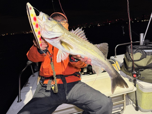 東京湾ボートシーバス⑫